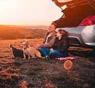 云呼网页版在线轰炸机