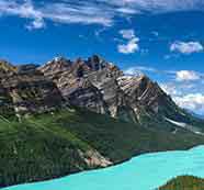 手机号呼叫软件